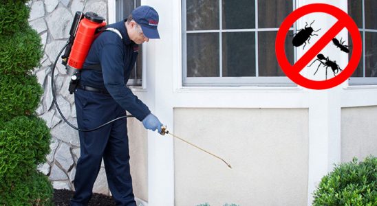 Kocaali Hamam Böceği İlaçlama böcek ilaçlama ve haşere kontrolü — ilaclama-tr.com